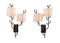 Pair Of Wall Lamps